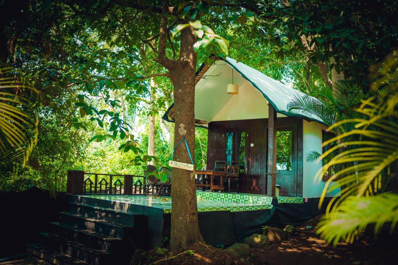 La La Land Resort Goa By Spicy Mango Palolem Esterno foto